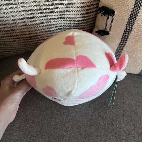 NWT Mondy the Sea Cow Squishmallow 8” - Picture 4 of 8